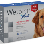 wejoint_lb_02-1