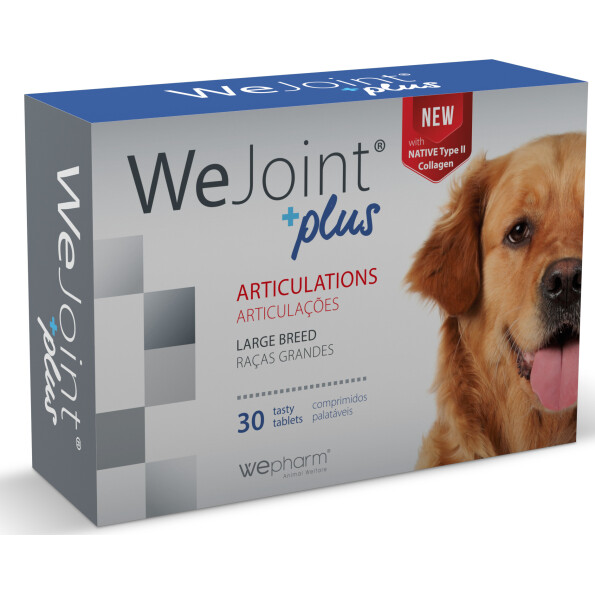 wejoint_lb_02-1